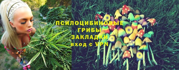 MESCALINE Белокуриха