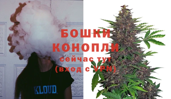 MESCALINE Белокуриха