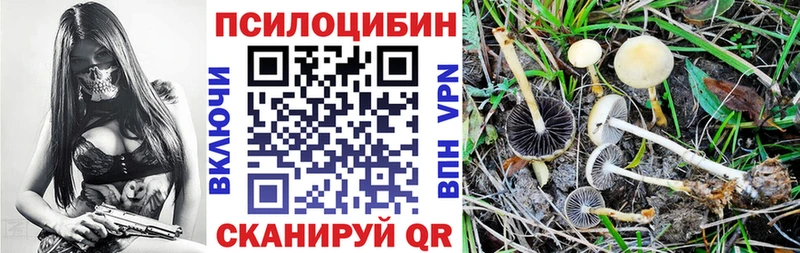 Галлюциногенные грибы Psilocybe  mega зеркало  Семилуки 